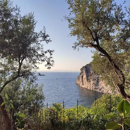 Villa Silvana